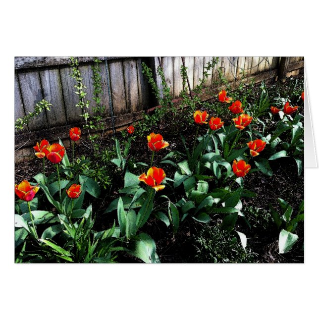 Aquarelle de tulipe (Devant horizontal)