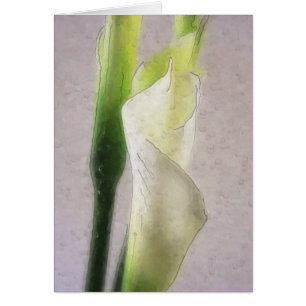 Aquarelle du zantedeschia 1