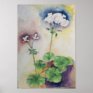 Aquarelle Fleur Blanche – Impression d'art botaniq