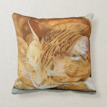 Aquarelle Ginger Chat Carré Jeu Oreiller