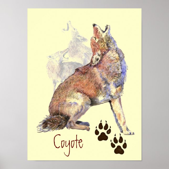 Aquarelle Howling Coyote Poster (Devant)