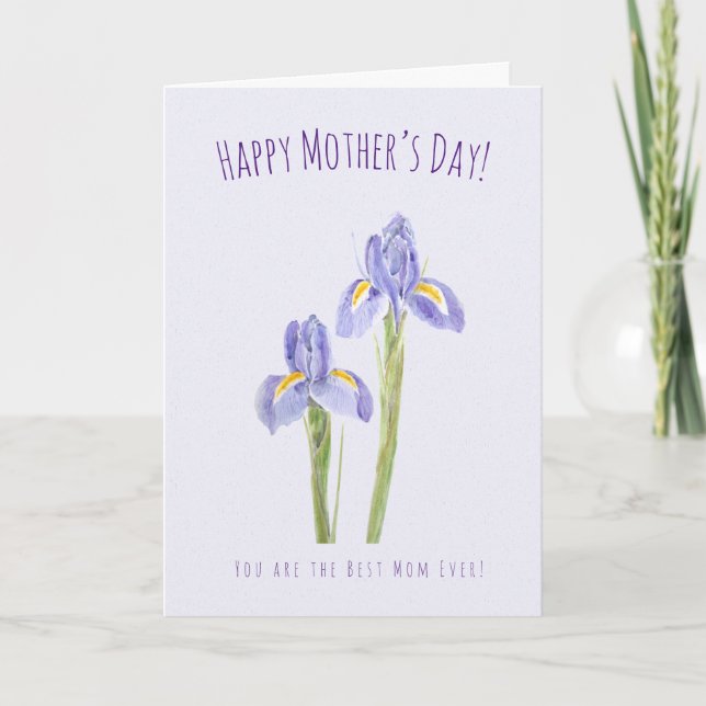 aquarelle iris violet carte de voeux Fête des Mère (Devant)