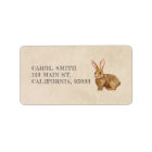 Aquarelle Lapin De Pâques Lapin.