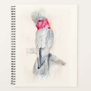 Aquarelle Opera Cockatoo