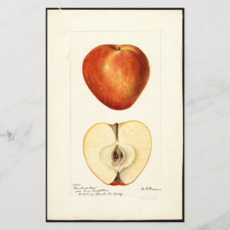 Aquarelle pomologique page de scrapbook Marshall R