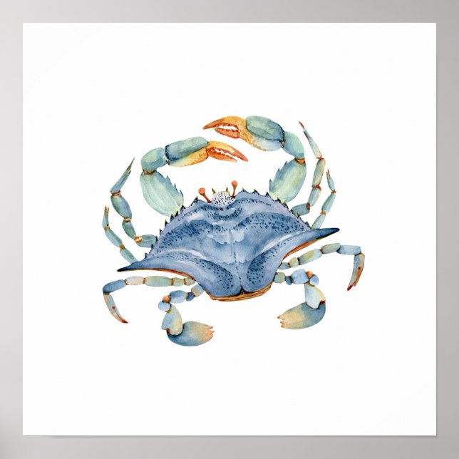 Aquarelle Poster du crabe bleu (Devant)
