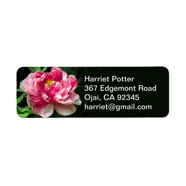 Aquarelle rose blanche pivoine fine florale (Devant)