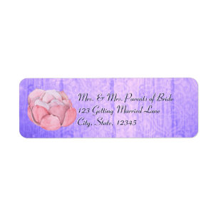 Aquarelle Rose Succulent Rustique pourpre