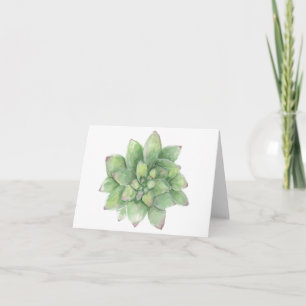 Aquarelle Succulente