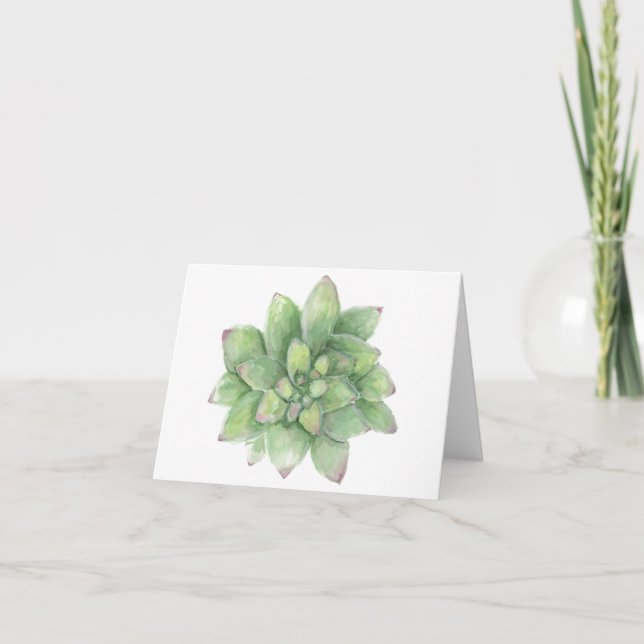 Aquarelle Succulente (Devant)