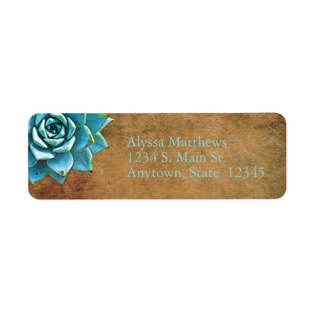 Aquarelle Succulente Rustique Brown (Devant)