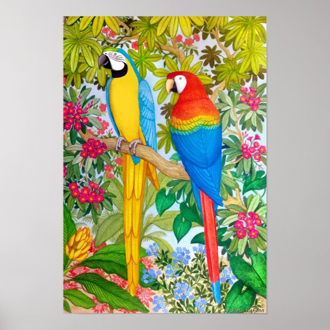Aquarelle Tropical Macaw Parrots Poster (Devant)