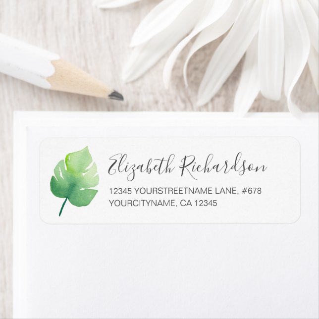 Aquarelle tropicale Feuille Monstère verte (En situation)