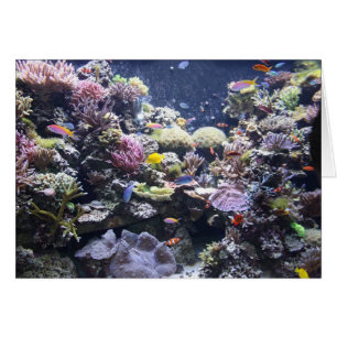 Aquarium
