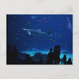 Aquarium, Atlanta Georgia Postcard