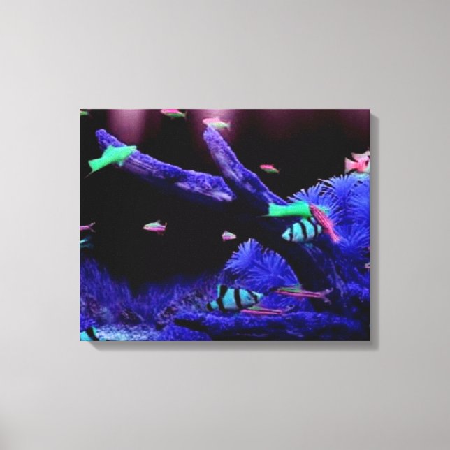 Aquarium Canvas Print (Front)