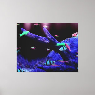 Aquarium Canvas Print