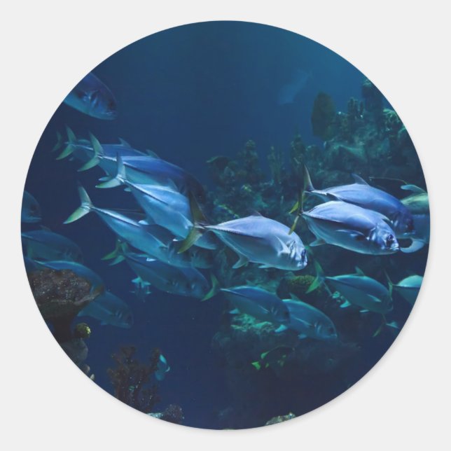 Aquarium Classic Round Sticker (Front)