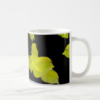 Aquarium cup