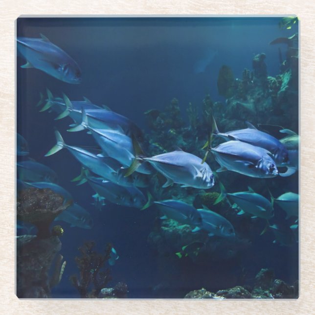 Aquarium Glass Coaster (Front)