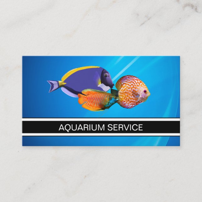 Aquarium marin Cartes de visite de poissons tropic (Devant)