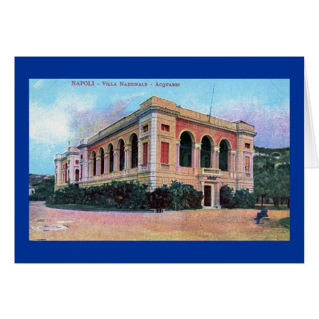 Aquarium, Napoli Naples Italy 1915 Vintage (Front Horizontal)