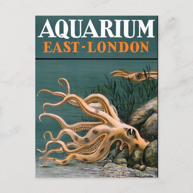 Aquarium Octopus Vintage Poster Restored Postcard (Front)