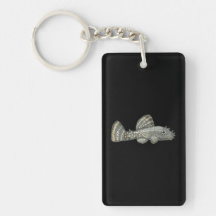 Aquarium Pleco Bristlenose pour les amateurs de pê