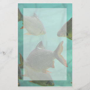 Aquarium Style Stationary Stationery