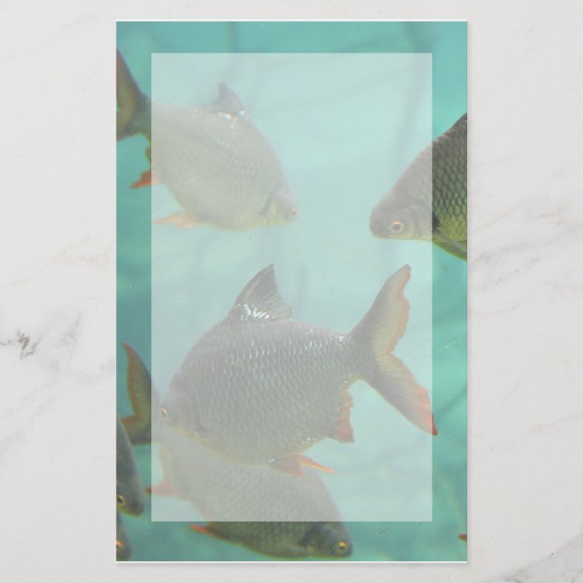 Aquarium Style Stationary Stationery (Front)