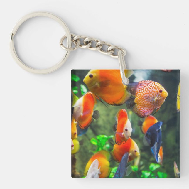Aquarium Themed Fish Tank Keychain (Front)