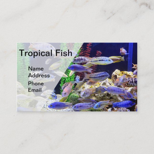Aquarium with beautiful colourful tropical fish business card (Front)