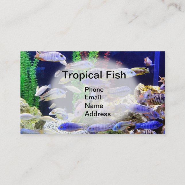 Aquarium with beautiful tropical fish business card (Front)