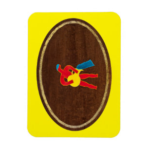 Aquarius 2008 magnet