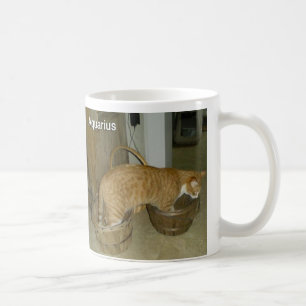 Aquarius Cat Zodiac Sign Mug
