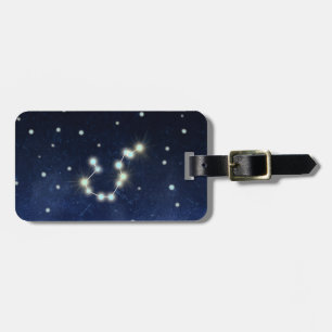Aquarius Constellation   Custom Name & Address Luggage Tag