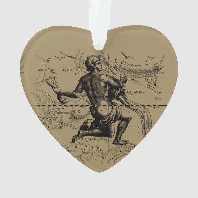 Aquarius Constellation Hevelius 1690 Engraving (dos)