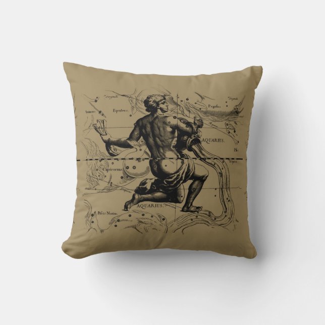 Aquarius Constellation Hevelius 1690 Engraving Throw Pillow (Front)