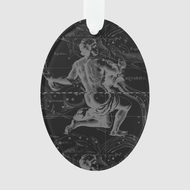 Aquarius Constellation Hevelius 1690 sur Noir (devant)