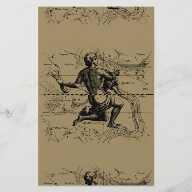 Aquarius Constellation Map by Hevelius Stationery (Front)