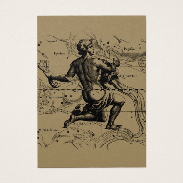 Aquarius Constellation Map Hevelius 1690 on Taupe (Front)