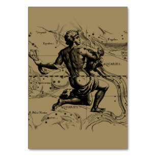 Aquarius Constellation Map Hevelius 1690 on Taupe Table Number