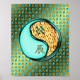 Aquarius & Fire Dragon Poster