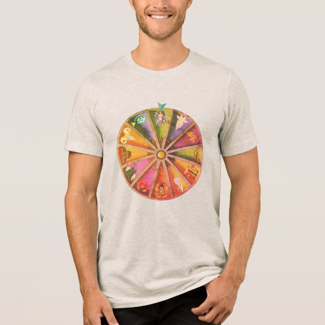 Aquarius for the Win Tri-Blend Shirt (Front)