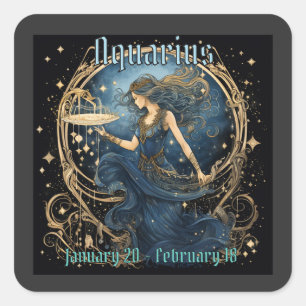 Aquarius  square sticker
