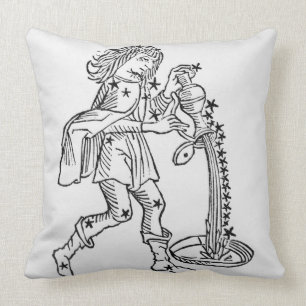 Aquarius (the Water Carrier) an illustration from Throw Pillow