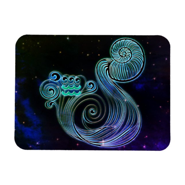 aquarius the water carrier zodiac magnet (Horizontal)