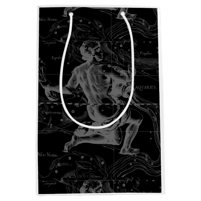 Aquarius Zodiac Constellation Engraving Hevelius Medium Gift Bag (Front)