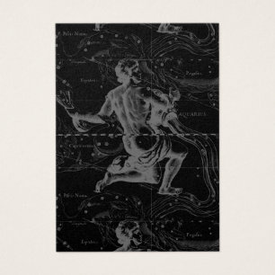 Aquarius Zodiac Constellation Hevelius 1690