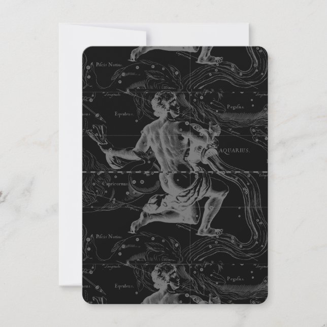 Aquarius Zodiac Constellation Hevelius 1690 (Front)